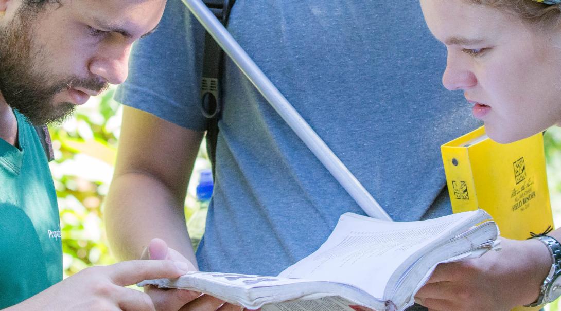 American college students interning in Costa Rica gather data for biodiversity studies in Costa Rica. A group of college students collect scientific data for research during their Conservation internship in Costa Rica.